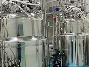 Dairy Additive Fermentation