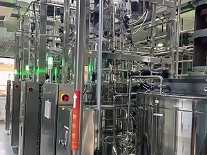 Synthetic Biology E. coli Fermentation