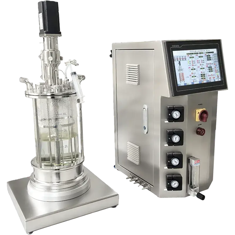 Glass Bioreactor