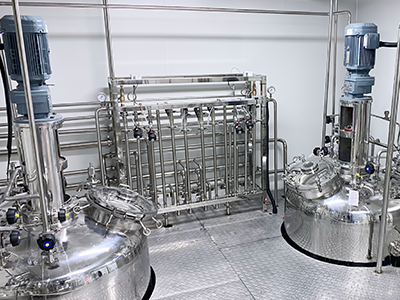 GMP Sanitary Fermenter